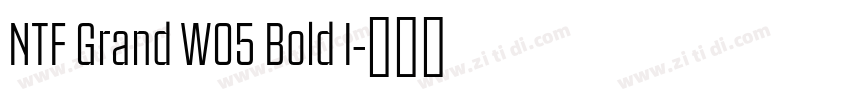 NTF Grand W05 Bold I字体转换